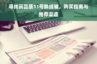 寻找高品质11号鹅绒被，购买指南与推荐渠道