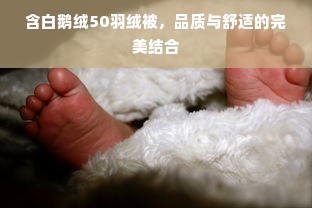 含白鹅绒50羽绒被，品质与舒适的完美结合