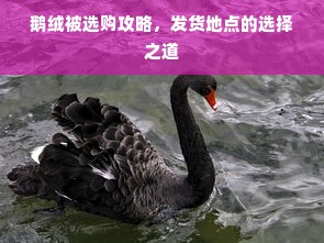 鹅绒被选购攻略，发货地点的选择之道