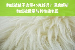 鹅绒被绒子含量45克好吗？深度解析鹅绒被质量与其性能表现