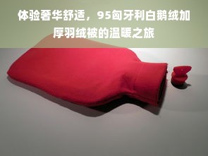 体验奢华舒适，95匈牙利白鹅绒加厚羽绒被的温暖之旅