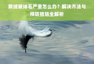 鹅绒被掉毛严重怎么办？解决方法与预防措施全解析