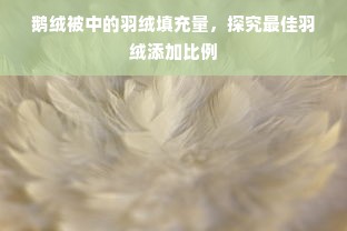 鹅绒被中的羽绒填充量，探究最佳羽绒添加比例