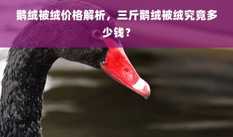 鹅绒被绒价格解析，三斤鹅绒被绒究竟多少钱？