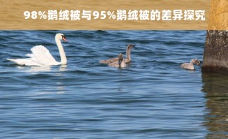 98%鹅绒被与95%鹅绒被的差异探究