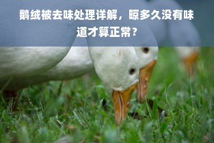 鹅绒被去味处理详解，晾多久没有味道才算正常？