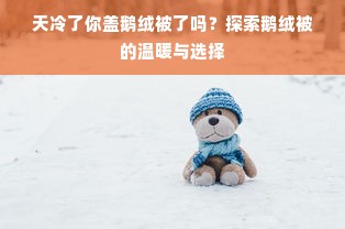 天冷了你盖鹅绒被了吗？探索鹅绒被的温暖与选择