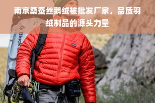 南京桑蚕丝鹅绒被批发厂家，品质羽绒制品的源头力量