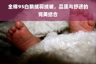 全棉95白鹅绒羽绒被，品质与舒适的完美结合