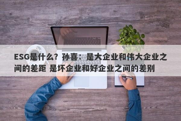 ESG是什么？孙喜：是大企业和伟大企业之间的差距 是坏企业和好企业之间的差别