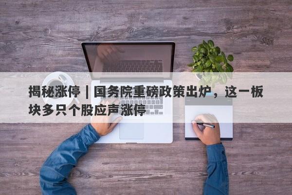 揭秘涨停 | 国务院重磅政策出炉，这一板块多只个股应声涨停