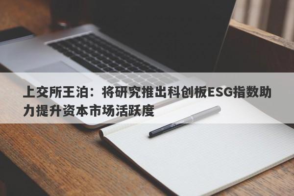 上交所王泊：将研究推出科创板ESG指数助力提升资本市场活跃度