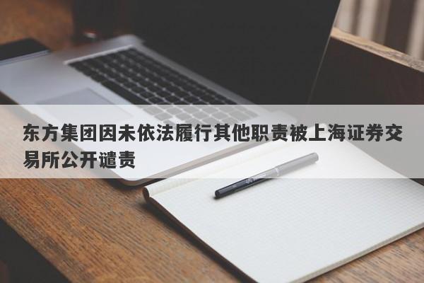 东方集团因未依法履行其他职责被上海证券交易所公开谴责