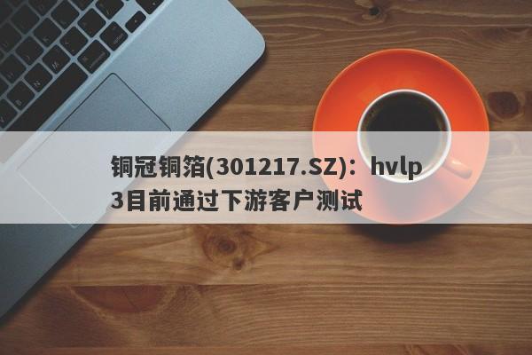 铜冠铜箔(301217.SZ)：hvlp3目前通过下游客户测试