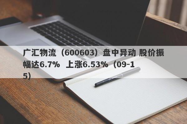 广汇物流（600603）盘中异动 股价振幅达6.7%  上涨6.53%（09-15）