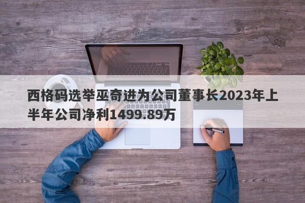 西格码选举巫奇进为公司董事长2023年上半年公司净利1499.89万